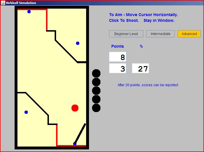PC Birkball Simulation